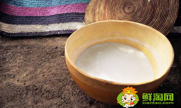 骆驼奶和牛奶可以一起做酸奶吗,骆驼鲜奶和骆驼酸奶哪个营养好