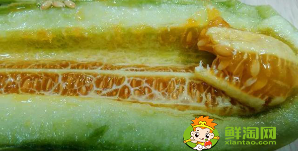 羊角蜜种子怎么保存,羊角蜜种子可以第二年种吗