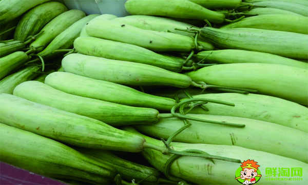 羊角蜜甜瓜能存放几天,大量羊角蜜怎么保存