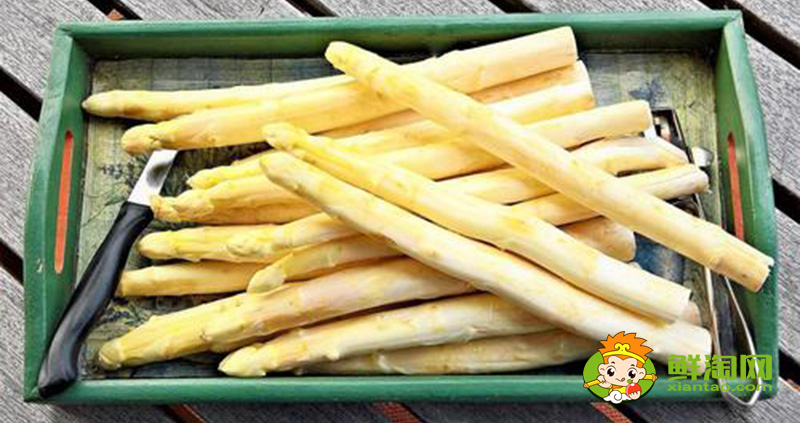 芦笋的产地有哪些地方,中国白芦笋产地哪里最好