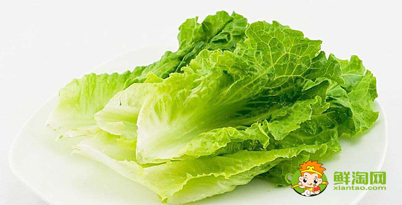 生菜可以生吃吗,生菜的种植方法和时间