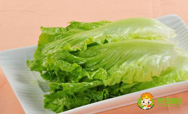 生菜的样子,结球生菜和生菜的区别