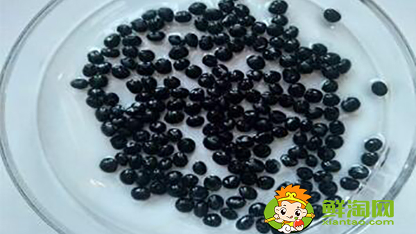 芦笋种子什么时候种,芦笋种子怎样催芽