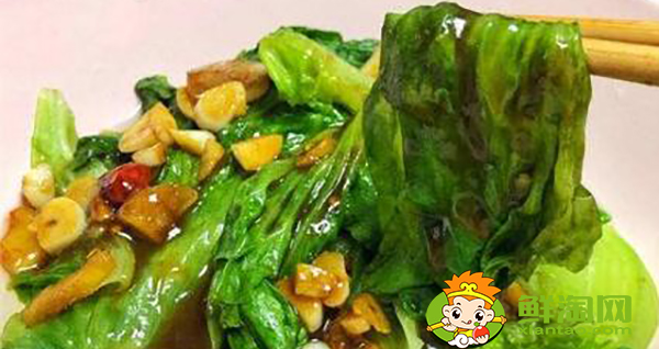 蚝油生菜的做法步骤,蚝油是什么做的