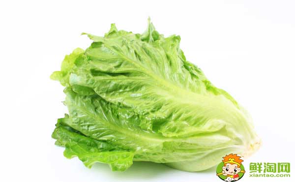 生菜的吃法有几种,生菜为什么不长虫