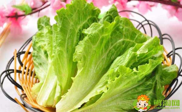 减肥吃生菜好吗,减肥吃生菜和什么搭配