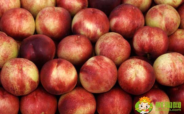 西瓜和桃子能一起吃吗,桃子一天吃几个最好