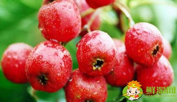 山楂粉做山楂糕的做法,山楂糕的做法步骤窍门