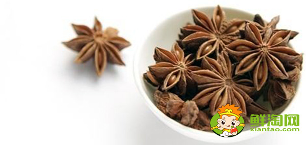 八角种子催芽方法,八角种子能有什么用途