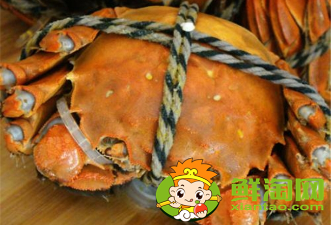 大闸蟹几月份上市,大闸蟹最大的有多少种