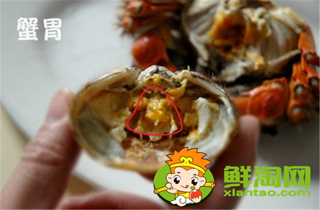 大闸蟹怎么吃新手,大闸蟹不能吃的部位图