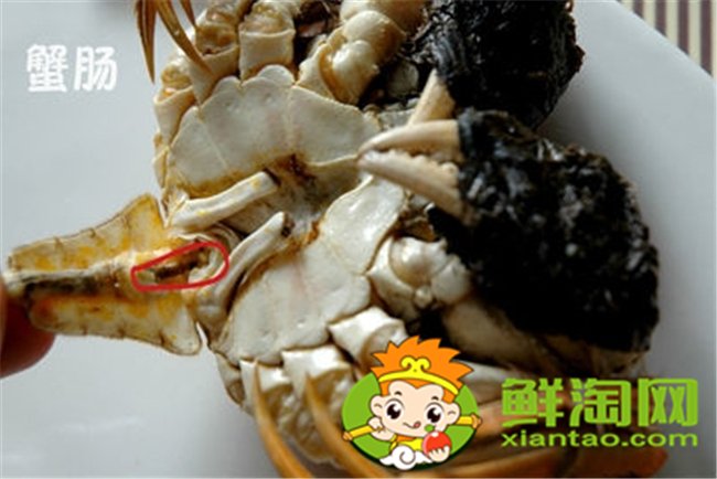 大闸蟹怎么吃新手,大闸蟹不能吃的部位图
