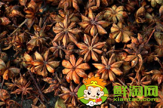 野八角中毒什么症状,中药材八角的真假分别