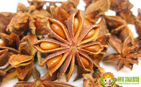 八角几月份种,八角种几年开始结果