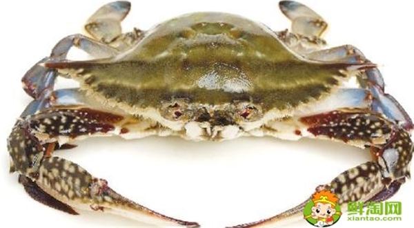 梭子蟹有蟹黄吗,哪种螃蟹的蟹黄最多
