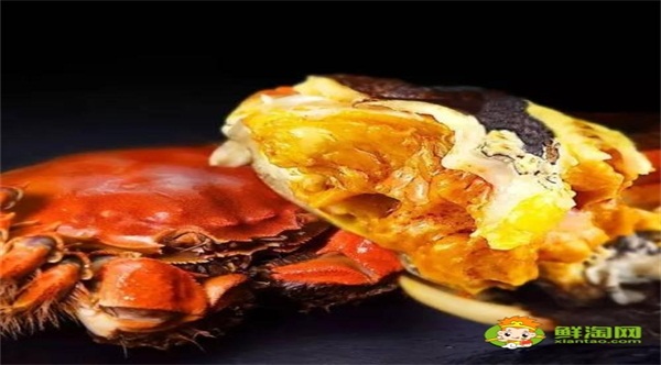 梭子蟹有蟹黄吗,哪种螃蟹的蟹黄最多