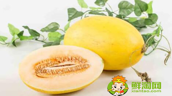 黄皮哈密瓜什么品种,黄皮哈密瓜是哪里产的