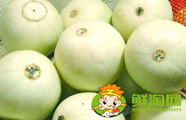 小哈密瓜和大哈密瓜哪个好，小哈密瓜和大哈密瓜的区别