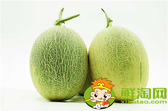 沙漠密瓜和哈密瓜有什么区别，沙漠密瓜的功效与作用