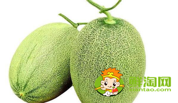 西州蜜瓜如何判断生熟，怎样辨别西州蜜瓜熟了