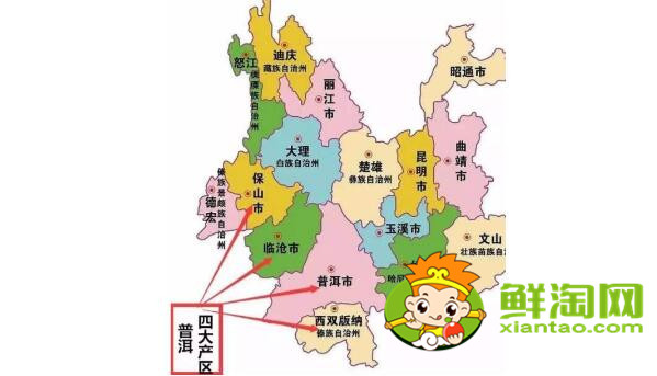 哪里的普洱茶最好喝,什么时候喝普洱茶的效果最好