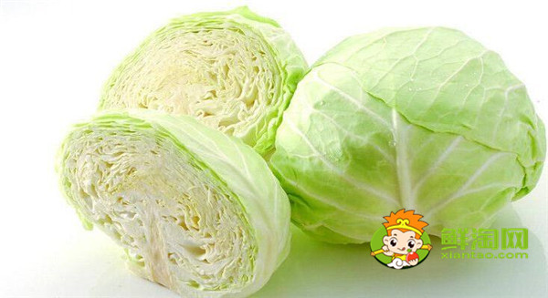 卷心菜和包菜有什么区别,怎样区别包菜和卷心菜