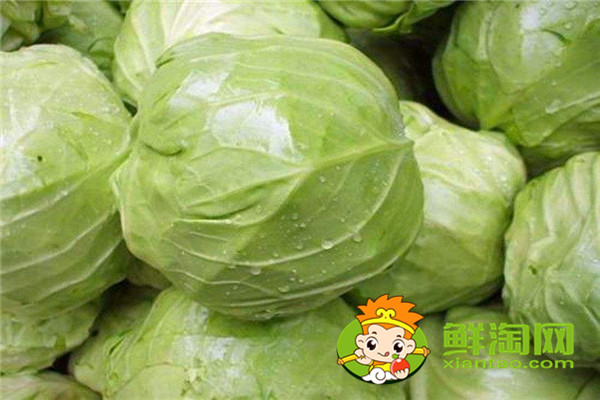 包莱怎么保存两个月,包菜放冰箱两个月还能吃吗