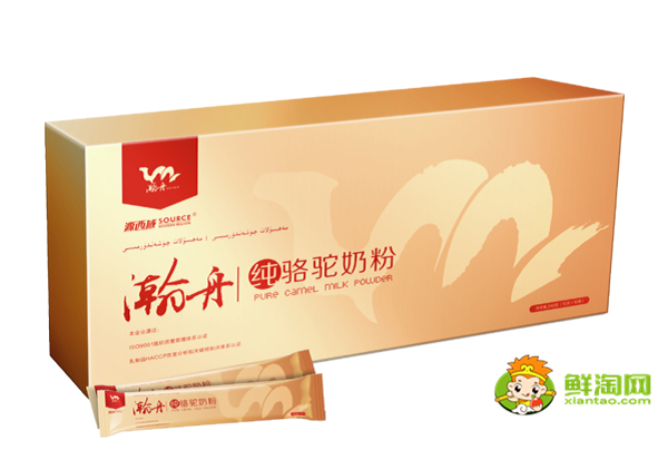 正宗的骆驼奶粉多少钱一斤,哪里能买到正宗的骆驼奶粉