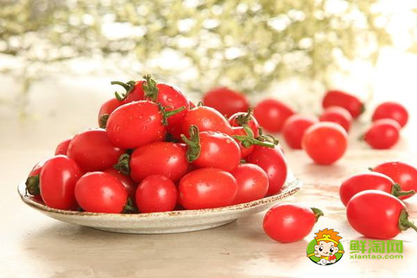 冬枣含糖量高不高,冬枣含糖量高还是小番茄