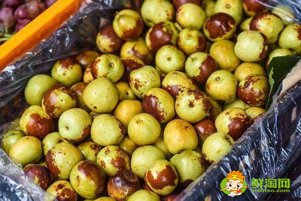 大荔冬枣个头大吗,大荔冬枣什么价位