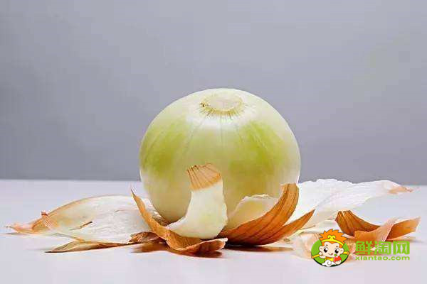 洋葱没熟吃了会怎么样,洋葱生吃好还是炒熟好