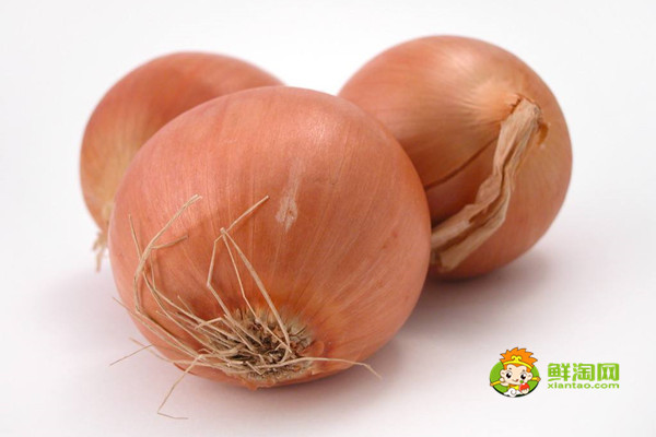 像很小很小的洋葱是什么,为什么有像洋葱的小洋葱