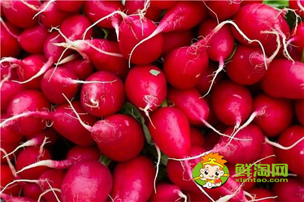 炒红萝卜要放什么调料,红萝卜做馅儿和什么是绝配