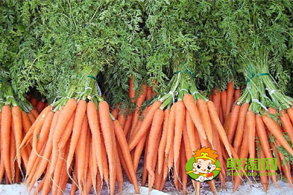 炒胡萝卜要先水煮吗,胡萝卜不能和什么同食