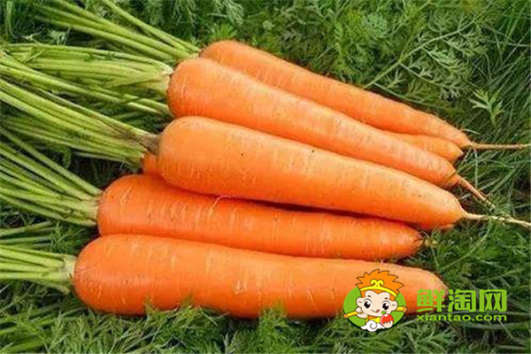 榨胡萝卜汁需要煮熟吗，胡萝卜一天吃一根行吗