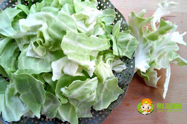 水煮包菜热量高吗,600g水煮包菜的热量