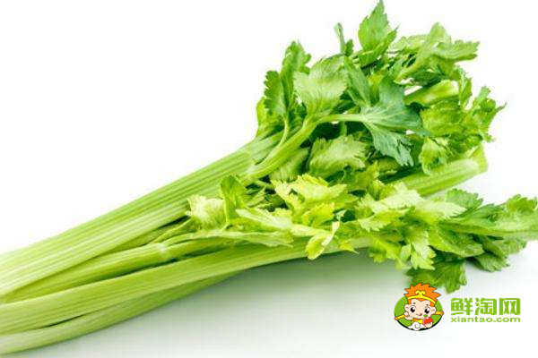 芹菜是什么季节的蔬菜,水芹是什么季节的菜