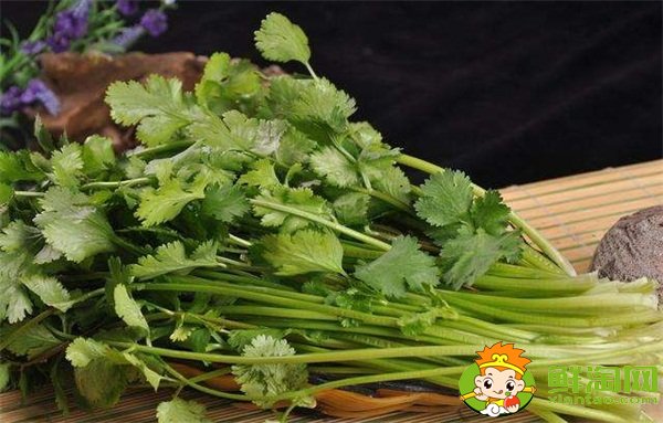 香菜吃多了有什么坏处,香菜的功效与作用