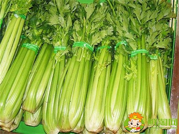 山东芹菜产地哪里有名,西芹哪里产的最好