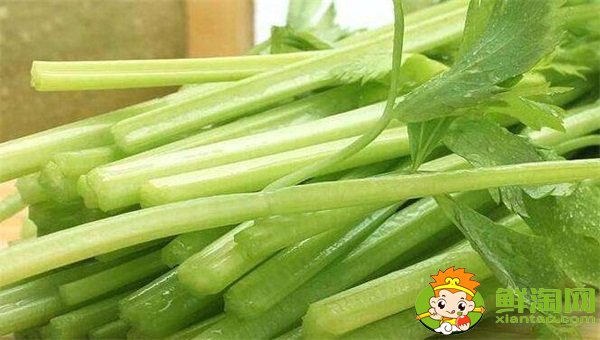 山东芹菜产地哪里有名,西芹哪里产的最好