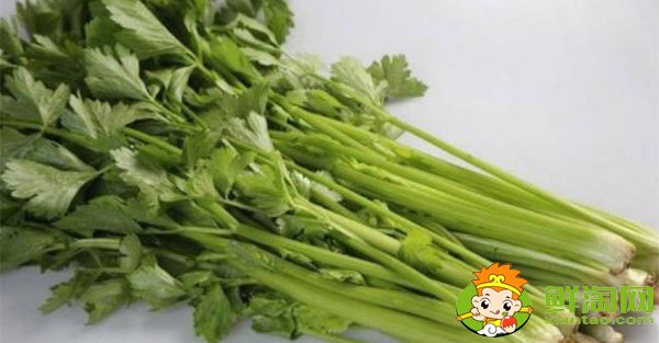 山东芹菜的主要产地在哪,芹菜基地哪里最便宜