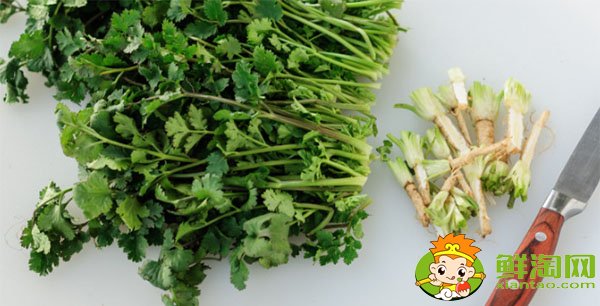 香菜的做法如何腌制,新鲜香菜怎么腌制咸菜