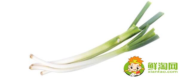 大葱和小葱有什么区别,生吃大葱的功效与作用