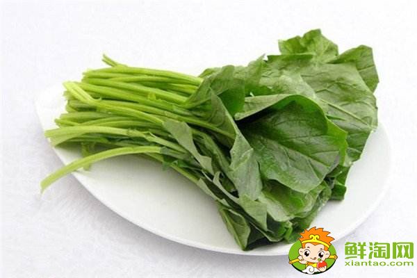 吃完菠菜要不要刷牙,为什么菠菜吃起来很涩口