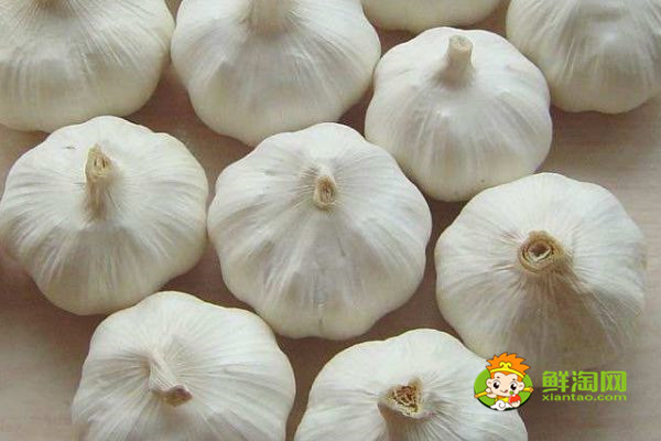 蜂蜜不能和什么一起吃,原来蜂蜜是不适合加到豆浆中饮用