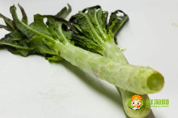 蜂蜜不能和什么一起吃,原来蜂蜜是不适合加到豆浆中饮用