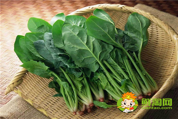 晚上喝菠菜汁好不好,菠菜配什么榨汁好喝