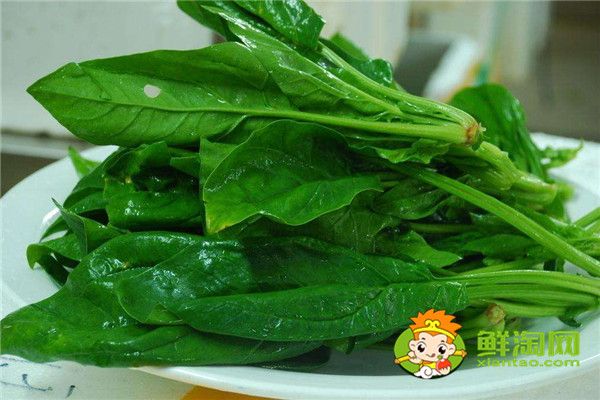 菠菜怎么煮出来又嫩又好吃,菠菜可以直接涮锅吗