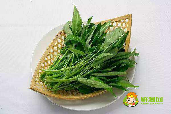 摘过空心菜指甲黑怎么办,这么做空心菜好吃又好看