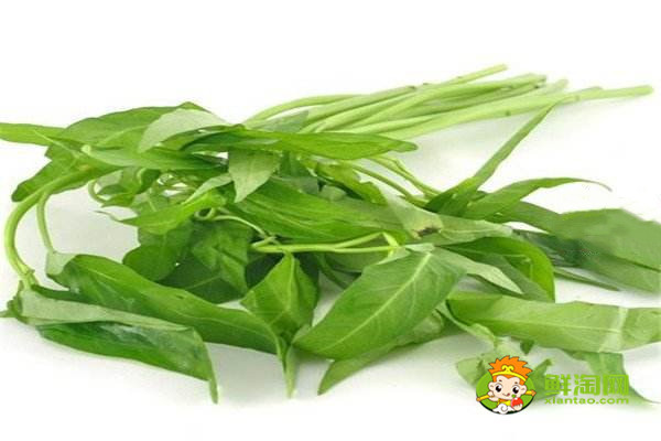 摘过空心菜指甲黑怎么办,这么做空心菜好吃又好看